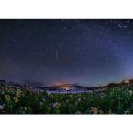 送料無料 ジグソーパズル 500ピース KAGAYA 雪のヒマワリ畑 05-1055 4979817060551