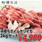 いか イカ 烏賊 2kg  子持ち ボイルヤリイカ 2kgセット