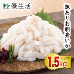 訳あり お刺身いか1.5kgセット