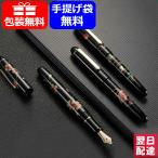 プラチナ万年筆 PLATINUM 万年筆 3776 加賀平蒔絵 桜/扇面/山水 14K F細字/M中字/B太字 PNB-30000B