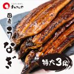 【 うなぎ蒲焼 特大 3尾セット 】 まんてんや 福岡養鰻 国産 うなぎ 鰻 冷凍 冷凍うなぎ お中元 セット ギフト 贈り物 お取り寄せグルメ フジボー 爆買