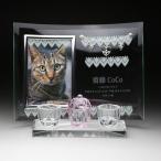  домашнее животное memorial домашнее животное домашний алтарь домашнее животное мемориальная табличка crystal мемориальная табличка предметы для домашнего буддийского алтаря под рукой .. домашнее животное .... название .B комплект 