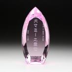  домашнее животное мемориальная табличка crystal фотография скульптура имя скульптура домашнее животное memorial домашнее животное домашний алтарь предметы для домашнего буддийского алтаря под рукой .. домашнее животное .... название KP-10 большой Laser скульптура 