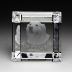 домашнее животное мемориальная табличка crystal фотография скульптура имя скульптура домашнее животное memorial домашнее животное домашний алтарь предметы для домашнего буддийского алтаря под рукой .. домашнее животное .... название KP-16 большой Laser скульптура 