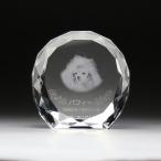  домашнее животное мемориальная табличка crystal фотография скульптура имя скульптура домашнее животное memorial домашнее животное домашний алтарь предметы для домашнего буддийского алтаря под рукой .. домашнее животное .... название KP-7 большой Laser скульптура 