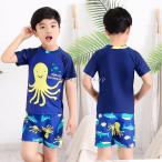  купальный костюм tops короткий рукав шорты Rush Guard верх и низ в комплекте Rush Guard мужчина ребенок Kids Junior подкладка имеется для мальчика UV меры 