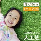 人工芝 1m×20m ロール 庭 芝丈35mm 人工芝マット 芝生 密度2倍 高耐久 固定ピン25本付 1年保証付き