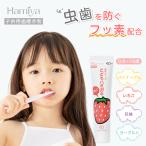 歯磨き粉 子ども用 虫歯予防 子供はみがき キッズ 医薬部外品 歯みがきジェル 就寝前 朝 歯保護 電動歯ブラシ グレープ イチゴ ヨーグルト パイナップル リンゴ