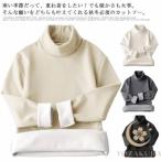 裏起毛 インナー 長袖 メンズ ヒートテック ｔシャツ 肌着 ハイネック 春 秋 冬 カットソー 防寒着 タートルネック 防寒 極暖 厚手