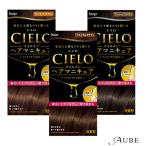 ホーユー シエロ オイルインヘアマニキュア 100g+3g+10g【ドラッグスト