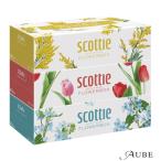  сделано в Японии бумага kresia Scotty ti колодка цветок box 3 коробка упаковка [ drug магазин ][ takkyubin (доставка на дом) соответствует ]