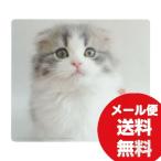 Yahoo! Yahoo!ショッピング(ヤフー ショッピング)動物マウスパッド（スコティッシュフォールド） MPD-215E