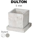 ソリッド プランター キューブ S ダルトン DULTON 植木鉢 鉢 鉢植え ポット 2.5号鉢 3号鉢 コンクリート おしゃれ シンプル ナチュラル 可愛い