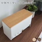 分別サニタリー収納ホルダー リン サニタリー収納 サニタリー用品収納 ナプキン収納 生理用品収納 ケース ストッカー 収納ボックス 収納ケース