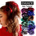 ダンス ウィッグ エクステ カラー ポニーテール お団子 つけ毛 エクステンション 編み込み ヘアアクセサリー ダンス衣装 ヒップホップ キッズ レディース