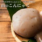 [ бесплатная доставка ] гора. конняку 3 пакет комплект ручной работы тест . есть .. прошлое в то время как. ручной работы конняку .. гарнир sashimi одэн диета здоровый 