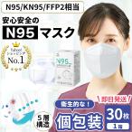 N95 マスク 医療用 FFP2 N