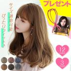 ウィッグ ロング 自然 ショート フルウィッグ セミロング ミディアム ネット スタンド付き 女性 12色 レディース グラデーション ハイライト メッシュ