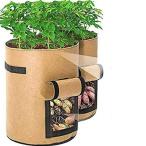 室内 プランター 野菜の人気商品 通販 価格比較 価格 Com