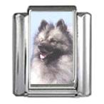 Stylysh Charms Keeshond Dog Photo Italian 9mm Link DG261 Fits Traditional C