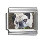 Stylysh Charms Pug Dog Photo Italian 9mm Link DG313 Fits Traditional Classi