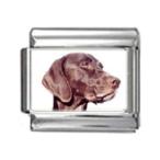 Stylysh Charms German Shorthaired Pointer Dog Photo Italian 9mm Link DG212
