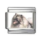 Stylysh Charms Keeshond Dog Photo Italian 9mm Link DG260 Fits Traditional C