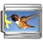 Stylysh Charms Hummingbird Bird Photo Italian 9mm Link BI028 Fits Tradition