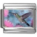 Stylysh Charms Hummingbird Bird Photo Italian 9mm Link BI009 Fits Tradition