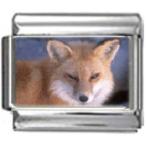 Stylysh Charms Fox Sly Wild Animal Photo Italian 9mm Link AN033 Fits Tradit