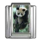 Stylysh Charms Panda Bear Animal Photo Italian 9mm Link AN053 Fits Traditio