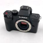 【全額返金保証】【最速発送】Panasonic デジタル一眼 LUMIX DC-G100D 美品 動作確認済