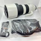 SONY FE 200-600mm F5.6-6.3 G OSS