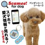 Scamee! for dog スキャミー シール3枚＋ペンダント1個セット DGSL-A6-P001-001