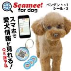 Scamee! for dogs Cami - наклейка 3 листов + подвеска 1 шт. комплект DGSL-A6-P001-001