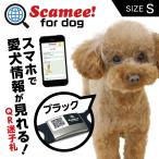 Scamee! for dogs Cami -[S] чёрный черный наклейка 5 листов &si Ricoh n plate бирка комплект DGSL-A6-S005-01S-BLK