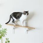 CAT FREELY кошка walk наклонение модель белый 