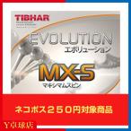 ƥС ܥ塼 MX-S  饱å ΢եȥС å/֥å ¨Ǽ Ź  (TIBHAR) [M 1/4]