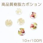 高品質樹脂カボション ドライフラワー封入 半円 12mm【10ヶ】