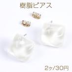 ¼ù»é¥Ô¥¢¥¹ ¤Ò¤··Á¥«¥Ã¥È 20¡ß20mm ¥Û¥ï¥¤¥È¡Ê2¥ö¡Ë