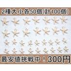 最安値挑戦中！チャーム ヒトデ5(100個入)