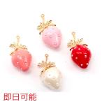 [ в тот же день возможность ] клубника очарование клубника клубника клубника . очарование фрукты примерно 18×38mm(2 штук )