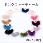 ¥ß¥ó¥¯¥Õ¥¡¡¼¥Á¥ã¡¼¥à ¥¿¥Ã¥»¥ë Á´14¿§¡Ú10¥ö¡Û