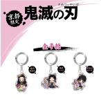 鬼滅の刃 メタル キーホルダー 金平糖 竈門禰豆子 胡蝶しのぶ 栗花落カナヲ 公式 京都 限定 グッズ アニメ 人気 漫画 ご当地 旅行 お土産 かわいい