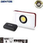  Gentos GZ-316 Ganz прожекторное освещение серии compact прожекторное освещение яркость максимальный 1200 люмен камера. штатив и т.п. установка . возможность другой USB оборудование . подача тока возможность USB заряжающийся 