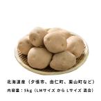  новый картофель мужчина .5kg LM размер из L размер смешивание ..... Dan shaku Hokkaido производство ваш заказ гурман . покупка 