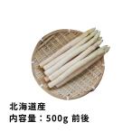 【予約】 ホワイトアスパラガス 500g 前後 北海道産 Lまたは2Lサイズ お取り寄せグルメ 爆買