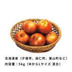 шар лук порей Hokkaido производство 5kg M размер из L размер смешивание лук репчатый tama лук-батун лук ваш заказ гурман . покупка 