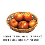  шар лук порей Hokkaido производство 10kg M размер из L размер смешивание лук репчатый tama лук-батун лук ваш заказ гурман . покупка 