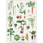 北欧ブランド デンマーク A2 アート ポスター ボタニカル 野菜 ベジタブル おしゃれ   KOUSTRUP &amp; CO. - Kitchen garden 家庭菜園